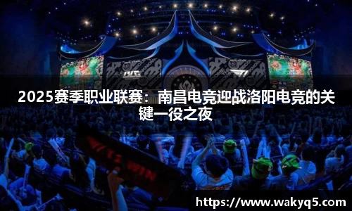 BSports网页版