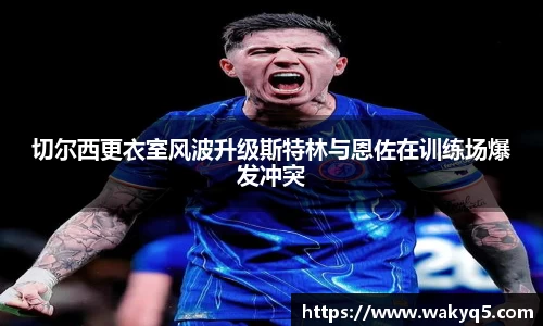 九洲国际网官网